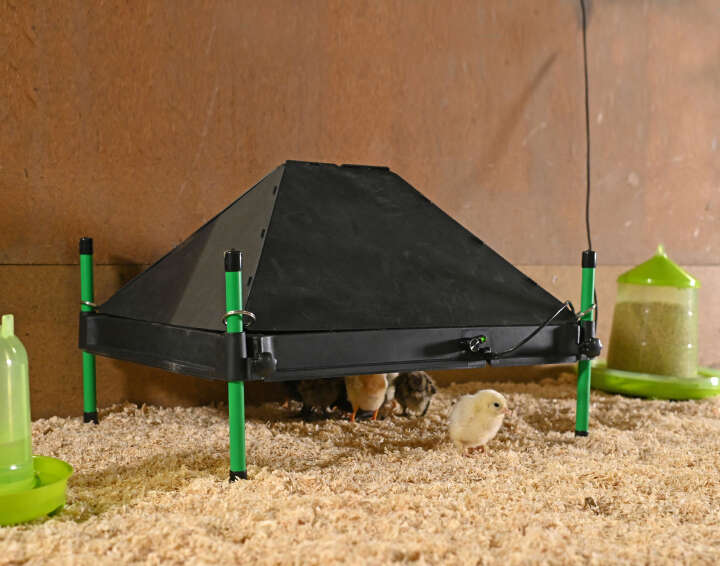 KERBL Schutzabdeckung für Wärmeplatte CosyHeat